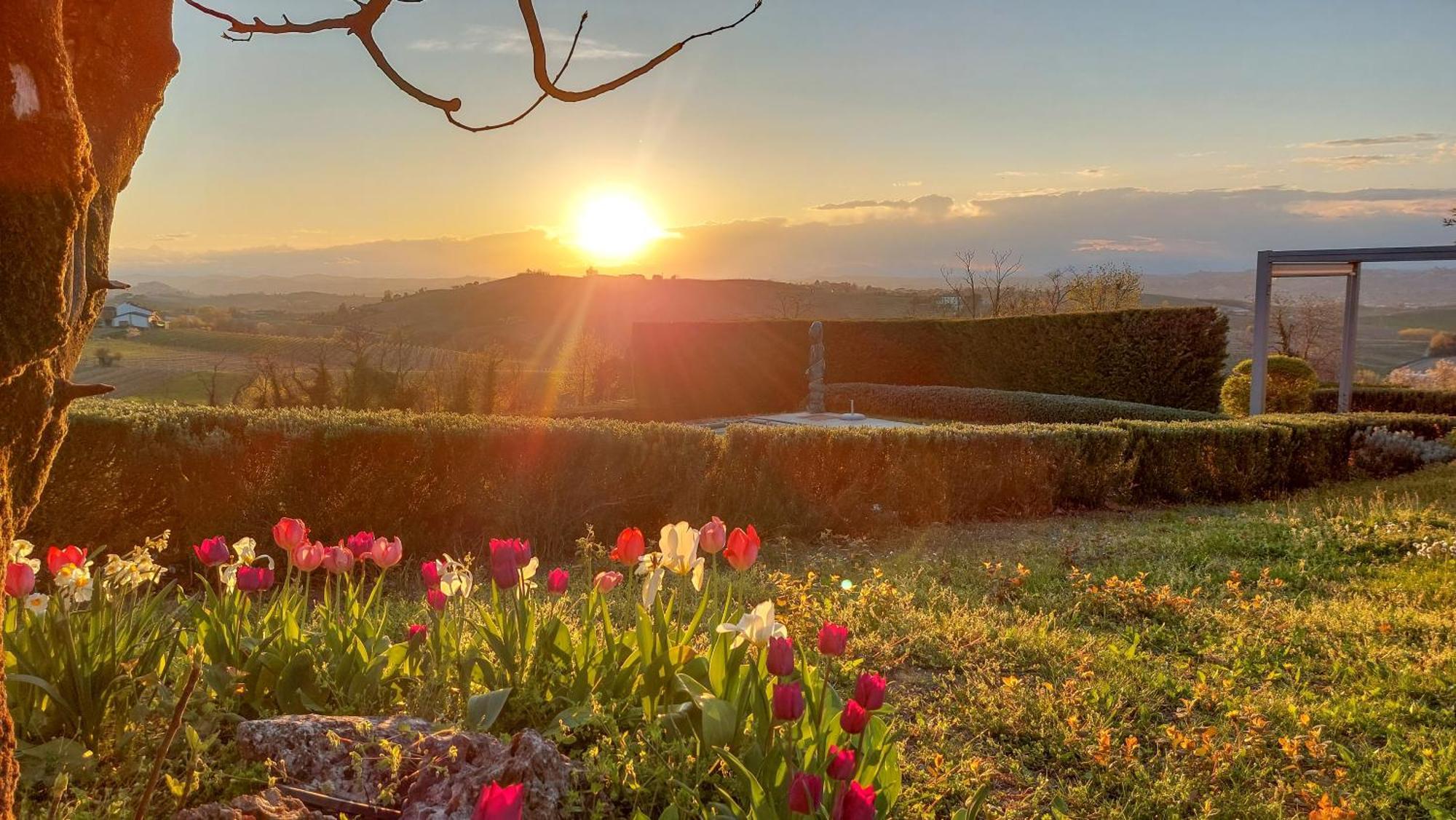 Casa Lucesole Guest House Fontanile ภายนอก รูปภาพ